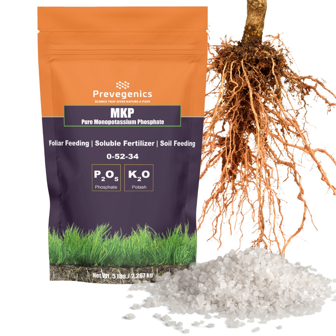 phosphate plant fertilizer MKP (Monopotassium Phosphate) 5 Ib