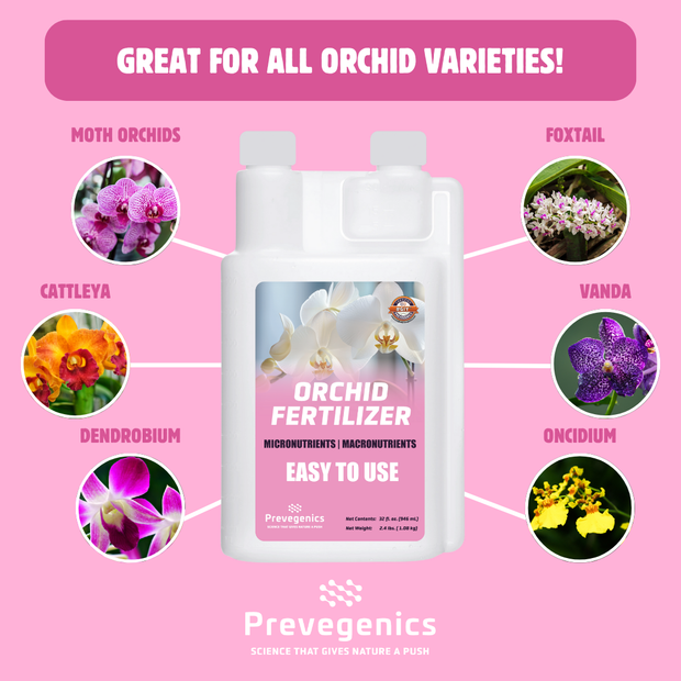 Orchid Fertilizer