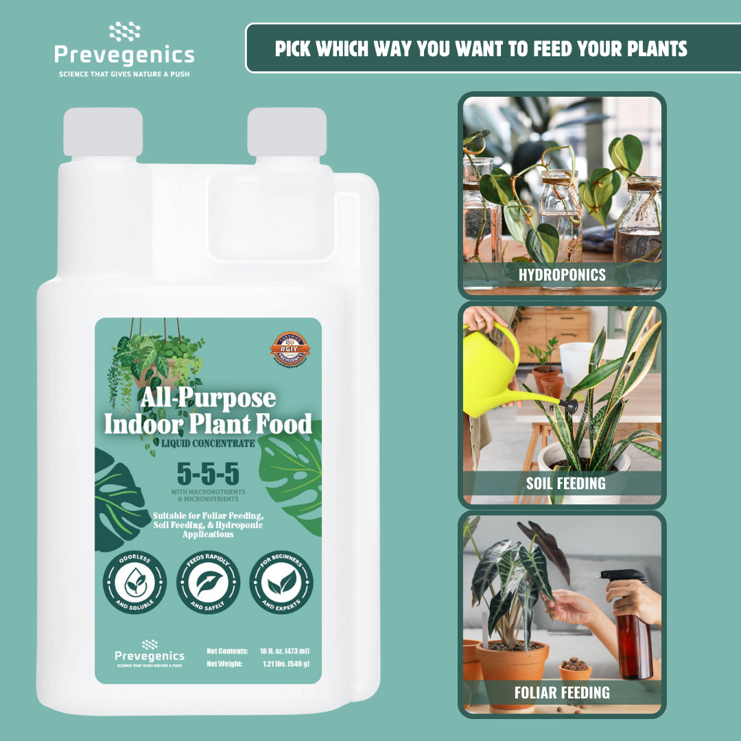 household fertilizer for indoor plants All-Purpose Indoor Plant Food – Opulent Blends Inc