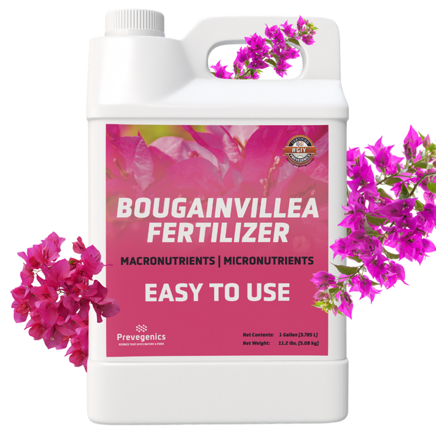 Bougainvillea Fertilizer