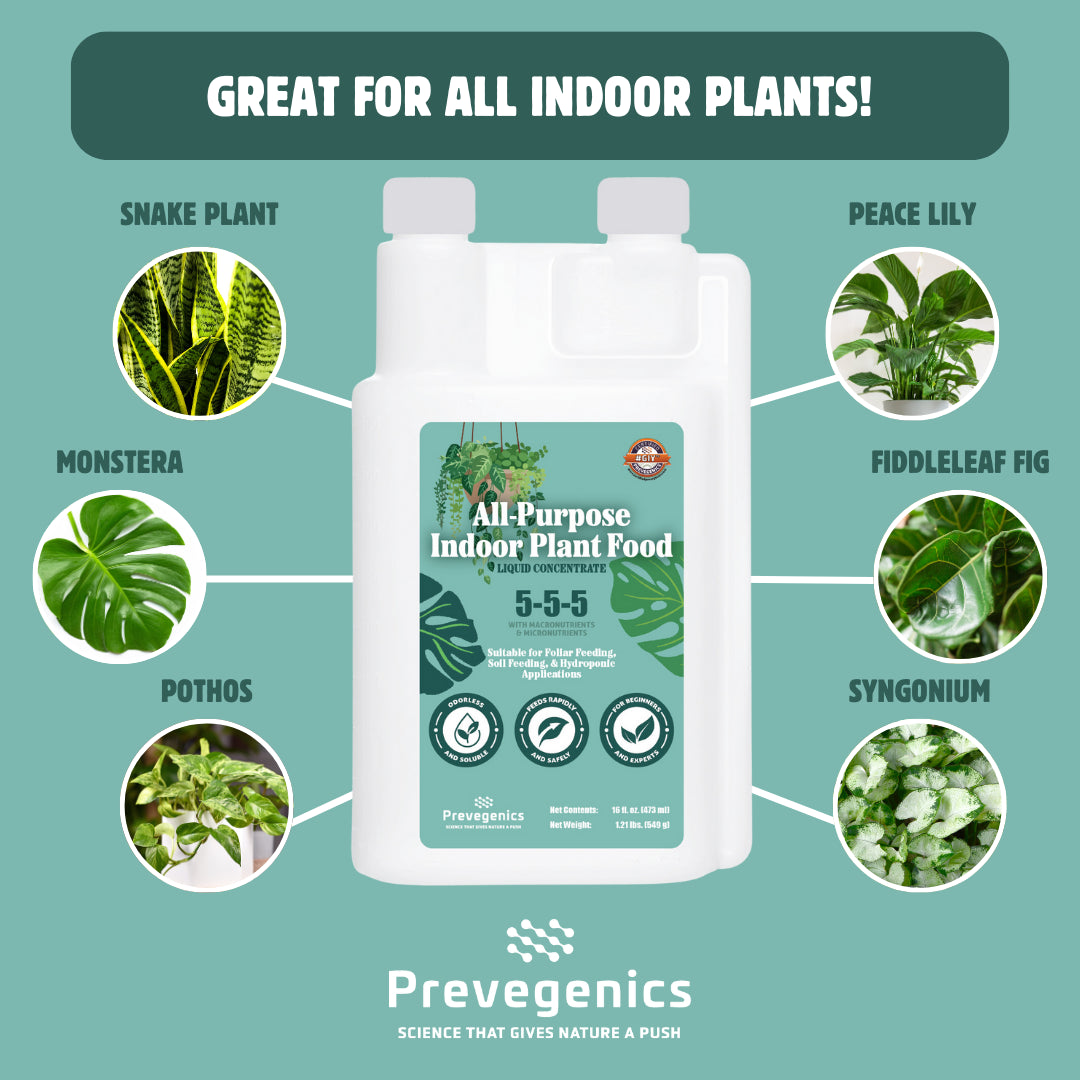 is plant food necessary for indoor plants All-Purpose Indoor Plant Food – Opulent Blends Inc