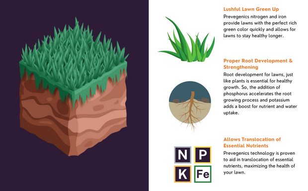 Lawn Fertilizer 16-4-8